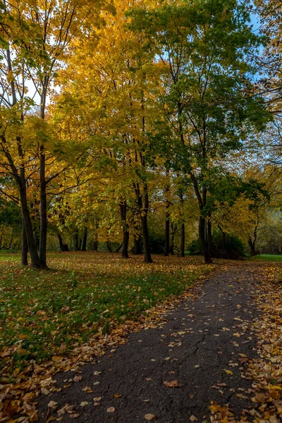 Herbstlandschaft Mit Bunten Bäumen — Stockfoto