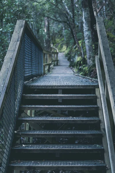 Gammal Träbro Skogen — Stockfoto