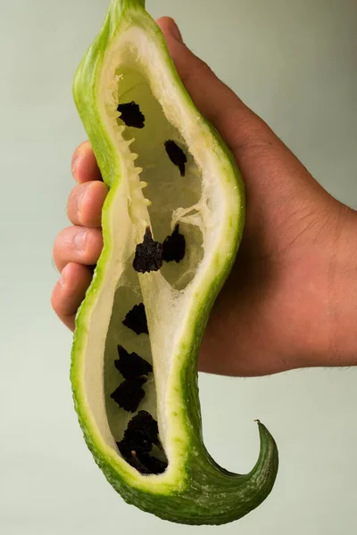 Närbild Hand Som Håller Bit Vattenmelon — Stockfoto