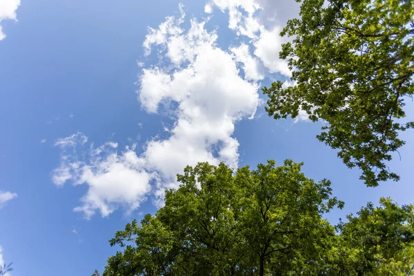 Mooie Blauwe Lucht Met Wolken — Stockfoto