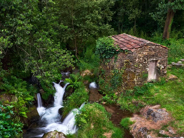 Hermosa Cascada Bosque —  Fotos de Stock