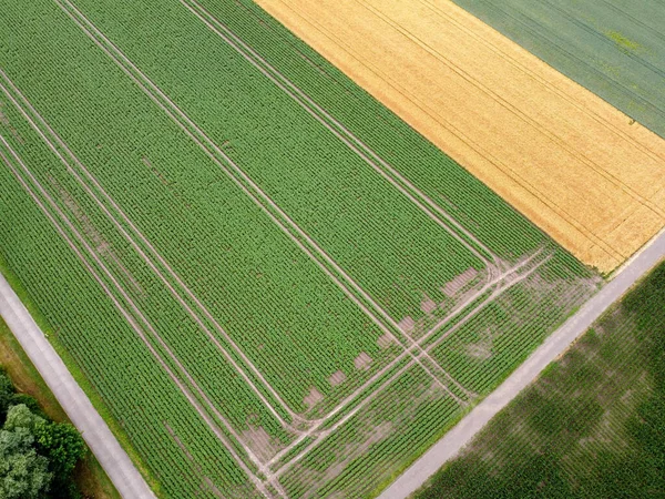 Воздушный Вид Поле Сельскохозяйственных Полей — стоковое фото