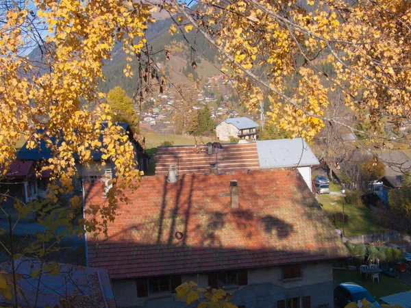 秋天的风景 有树木和树叶 — 图库照片