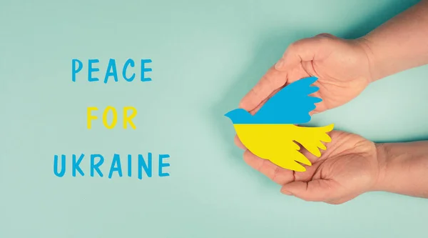 Рука Тримає Папір Мир України — стокове фото