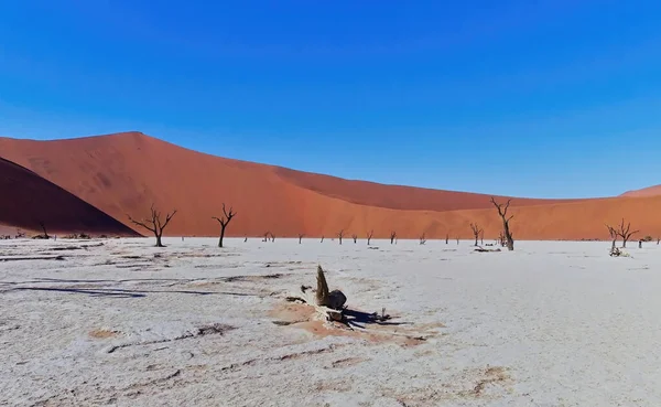 Bela Paisagem Mar Morto Deserto Namib Namibia — Fotografia de Stock