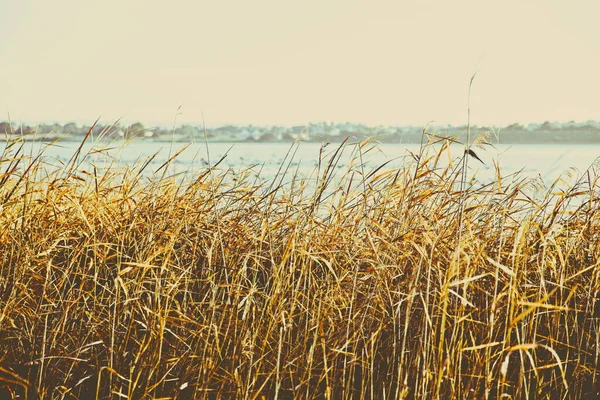 Wunderschöne Landschaft Mit Einem See Hintergrund — Stockfoto