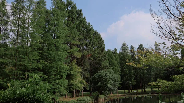 Bella Vista Sul Parco — Foto Stock