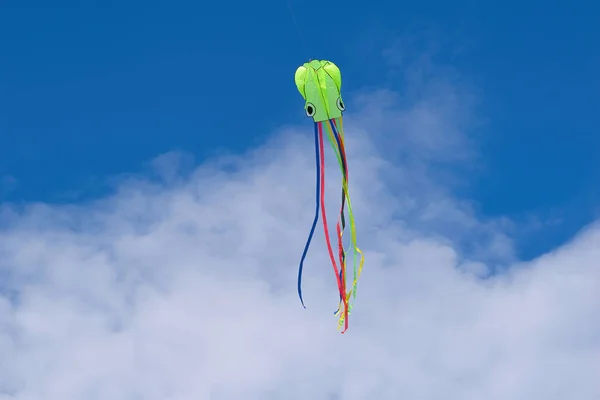 Cometa Volando Cielo —  Fotos de Stock