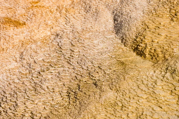 Textura Uma Parede Pedra Com Modelo Uma Superfície Concreto — Fotografia de Stock