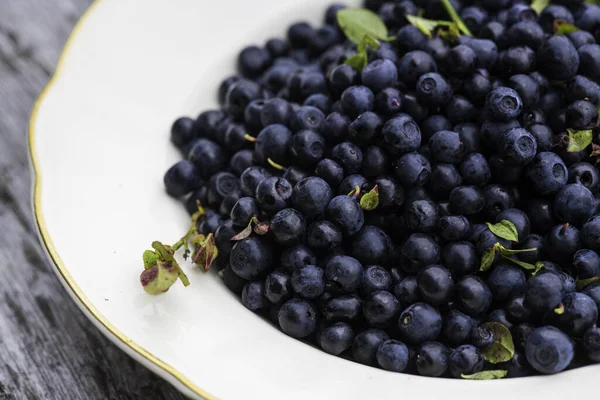 Fresh Ripe Blueberries Bowl White Background — Stock Photo, Image