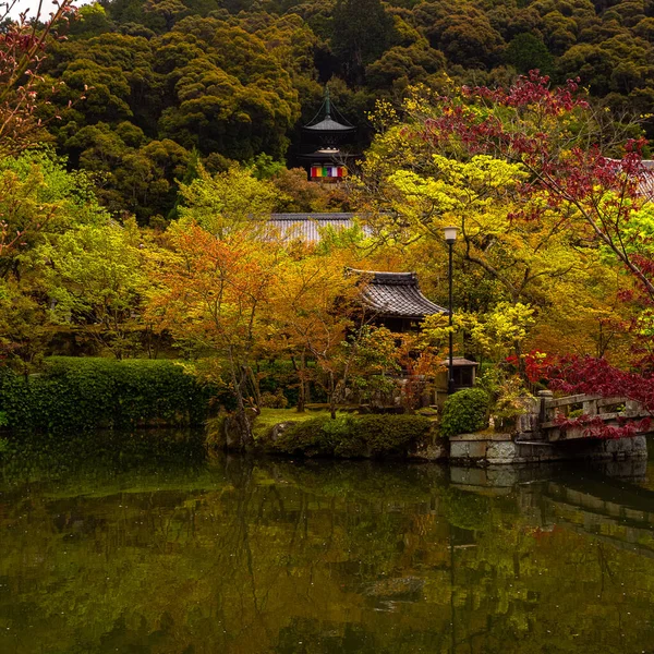 Beau Paysage Automne Avec Des Arbres Colorés — Photo