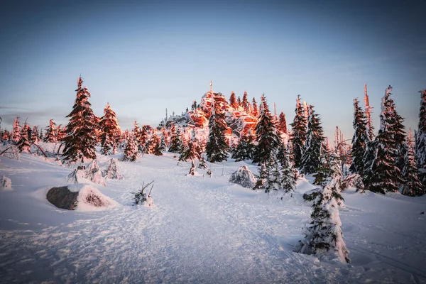 Vinterlandskap Med Snötäckta Träd Och Berg — Stockfoto