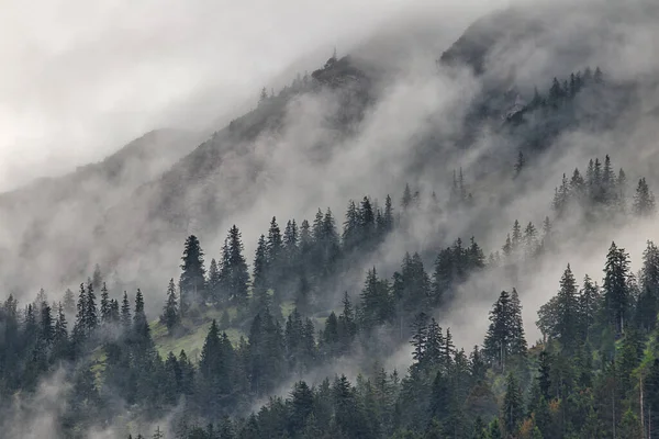 Krásná Krajina Stromy Mraky — Stock fotografie