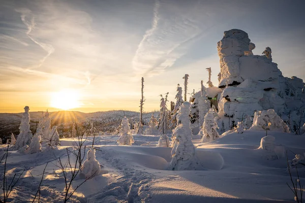 Όμορφο Τοπίο Χιονισμένα Δέντρα — Φωτογραφία Αρχείου