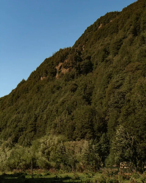 Hermoso Paisaje Con Árbol Una Montaña — Foto de Stock