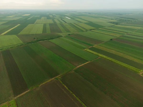 Aerial View Fields Valley — Stock Photo, Image