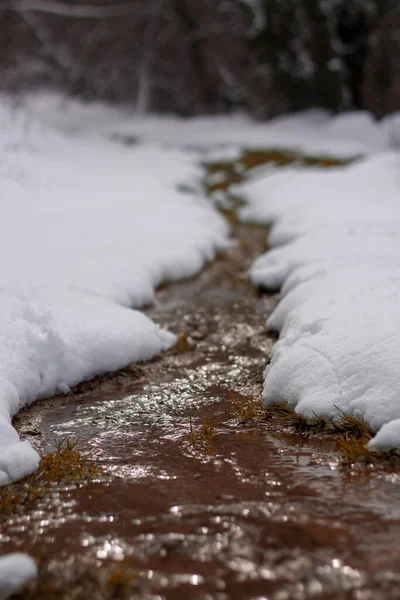 Pokryty Śniegiem Las Parku — Zdjęcie stockowe