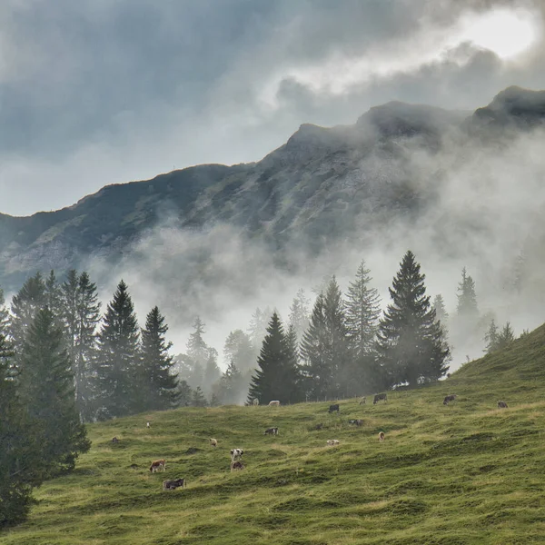 Beautiful Landscape Mountain Range Background — Stock Photo, Image