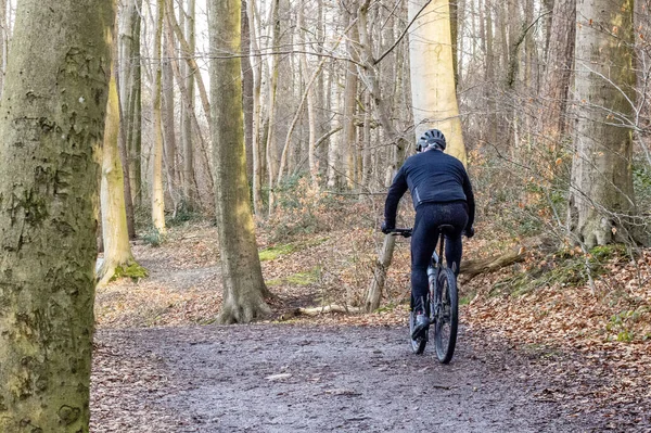 Άνθρωπος Ιππασία Ποδήλατο Στο Δάσος — Φωτογραφία Αρχείου