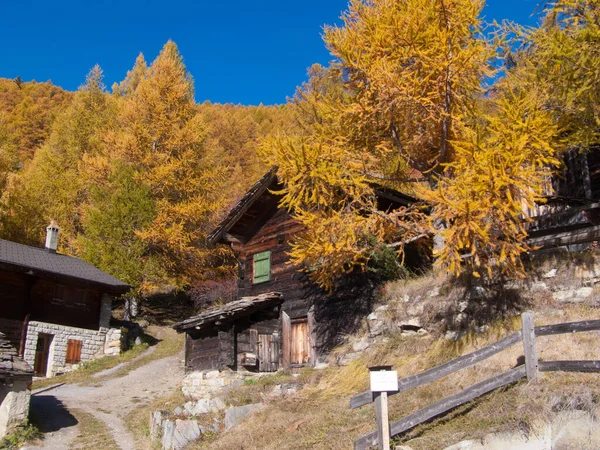 Bela Vista Para Paisagem Parque Outono Nas Montanhas Transilvânia Suíça — Fotografia de Stock