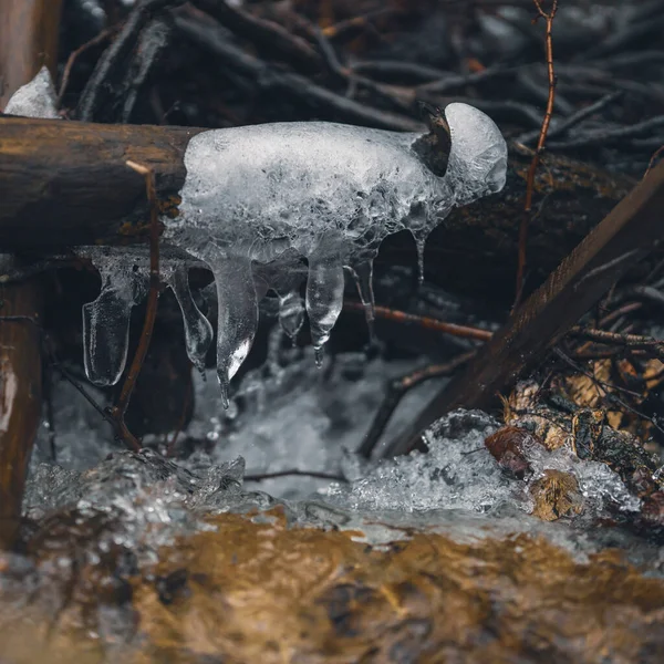 Крупный План Фонтана Замерзшей Водой Лесу — стоковое фото