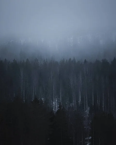 Bella Vista Sul Bosco — Foto Stock