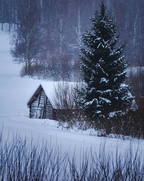 Trähus Snön Vintern — Stockfoto
