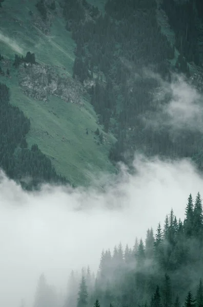 Όμορφη Θέα Ομιχλώδες Ορεινό Τοπίο — Φωτογραφία Αρχείου