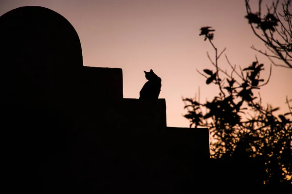 Silhouette Eines Mannes Mit Rucksack Auf Dem Dach Der Stadt — Stockfoto