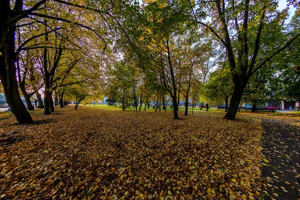 Herbstpark Der Stadt — Stockfoto