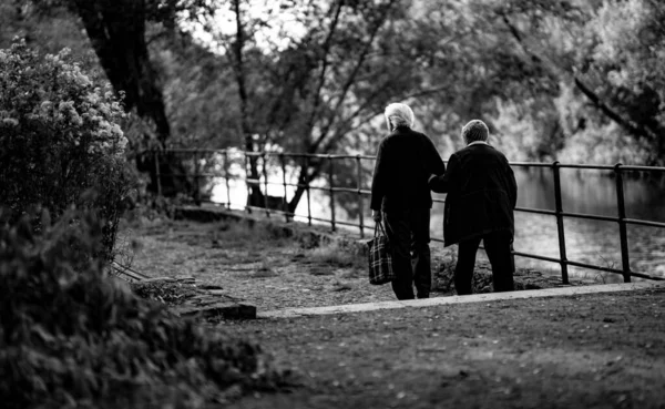 Gente Caminando Bosque — Foto de Stock