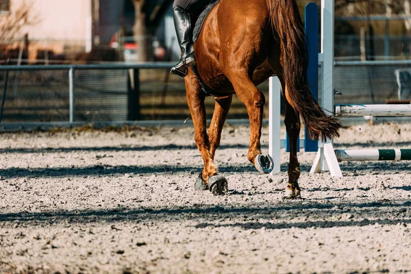 Cavaleiro Uma Pista Adestramento — Fotografia de Stock