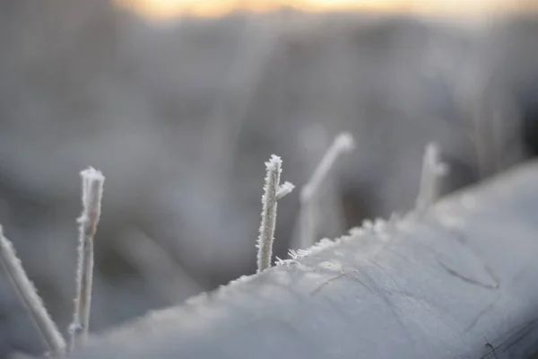 Bela Paisagem Inverno Com Neve — Fotografia de Stock