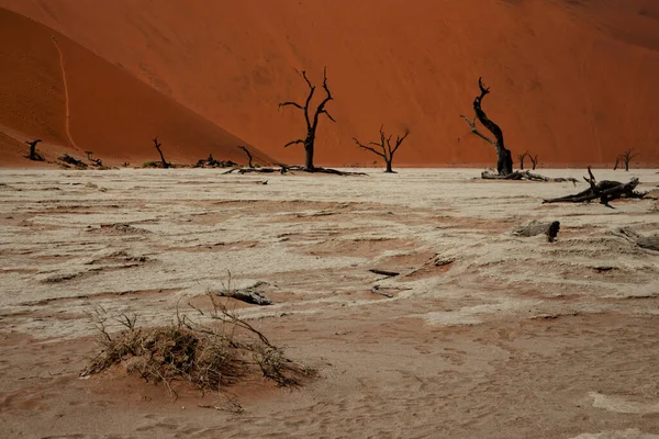 Όμορφο Τοπίο Της Νεκρής Θάλασσας Στην Έρημο Namib Namibia — Φωτογραφία Αρχείου