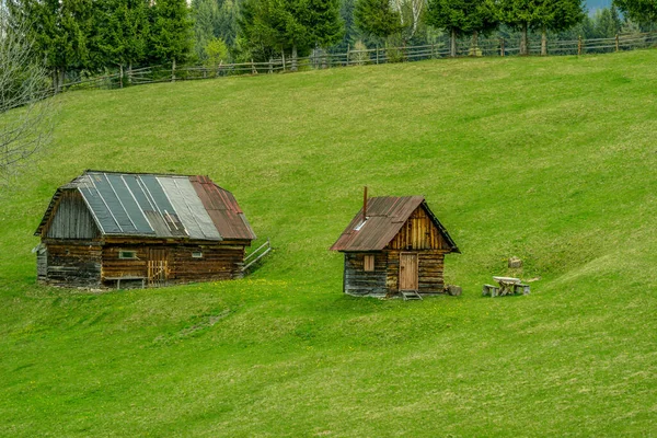 Деревянный Дом Зеленом Лугу — стоковое фото