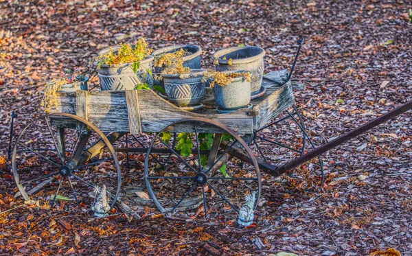 Een Kopje Thee Een Houten Bankje Het Park — Stockfoto