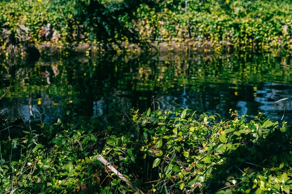 Beautiful View Lake — Stock Photo, Image