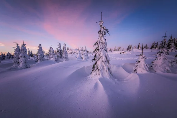 Beautiful Winter Landscape Snow Covered Trees — Stock Photo, Image