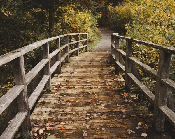 Pont Bois Dans Parc — Photo