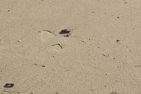 Zandstrand Met Voetafdrukken Zandkust — Stockfoto