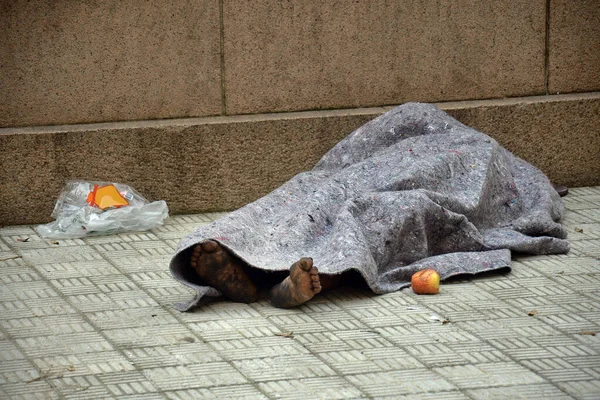 Бездомный Кот Лежит Земле — стоковое фото