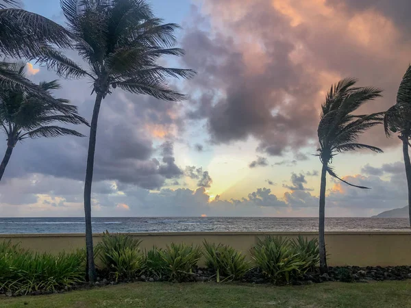 Красивый Тропический Пляж Пальмами Облаками — стоковое фото