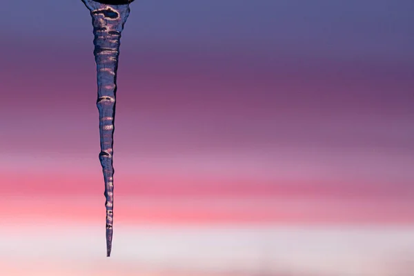 Icicles Ice — Stock Photo, Image