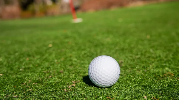 Bola Golfe Prado Verde Com Buraco Uma Fileira Grama — Fotografia de Stock