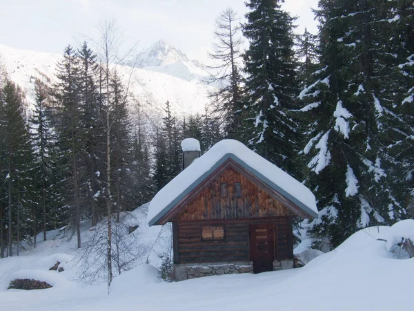 Bela Paisagem Inverno Com Árvores Cobertas Neve — Fotografia de Stock