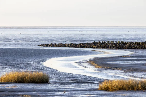 Hermosa Vista Del Mar Báltico — Foto de Stock