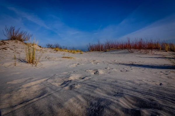 砂丘の美しい景色 — ストック写真
