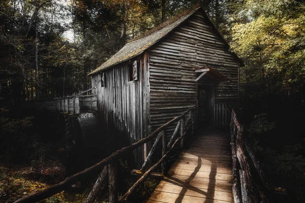 Wooden House Forest — Stock Photo, Image