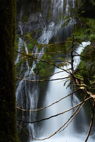 Cachoeira Floresta — Fotografia de Stock