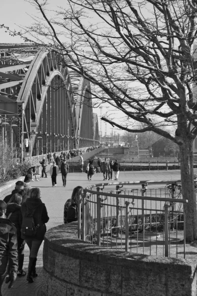 オランダの公園の街は — ストック写真